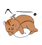 りすお【会話編】（個別スタンプ：5）