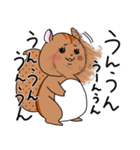 りすお【会話編】（個別スタンプ：11）