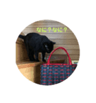 のぶさん1（個別スタンプ：4）