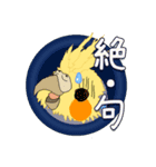 セキセイインコ・オカメインコスタンプ（個別スタンプ：8）