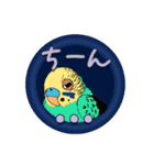 セキセイインコ・オカメインコスタンプ（個別スタンプ：9）