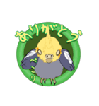 セキセイインコ・オカメインコスタンプ（個別スタンプ：30）