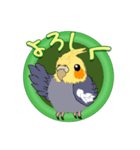 セキセイインコ・オカメインコスタンプ（個別スタンプ：35）