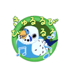 セキセイインコ・オカメインコスタンプ（個別スタンプ：39）