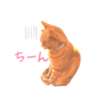 ツンデレきーくん（個別スタンプ：2）