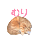 ツンデレきーくん（個別スタンプ：5）