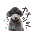 今日のSunny（個別スタンプ：12）