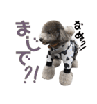 今日のSunny（個別スタンプ：36）