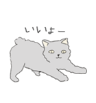 不機嫌ネコの日常。（個別スタンプ：35）