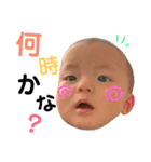 seiichi11（個別スタンプ：24）