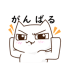 かくねこ（個別スタンプ：34）