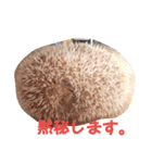 ハリネズミのファーリス（個別スタンプ：3）