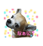 ゆきぽて♡スタンプ（個別スタンプ：1）