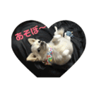 ゆきぽて♡スタンプ（個別スタンプ：5）