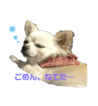 ゆきぽて♡スタンプ（個別スタンプ：6）