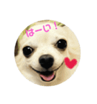 ゆきぽて♡スタンプ（個別スタンプ：9）