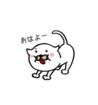 ここにゃん毎日スタンプ（個別スタンプ：13）