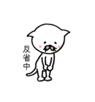 ここにゃん毎日スタンプ（個別スタンプ：19）