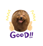 僕はちゃま（個別スタンプ：5）