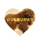 僕はちゃま（個別スタンプ：17）