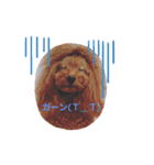 僕はちゃま（個別スタンプ：19）