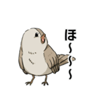 ホーホケキョのスタンプ（個別スタンプ：19）
