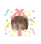 うさぎはるくん（個別スタンプ：7）