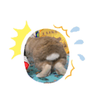 うさぎはるくん（個別スタンプ：12）