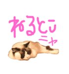 イロニャの日々（個別スタンプ：3）