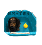 リリィさん！（個別スタンプ：12）