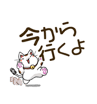 まねきねこデカ文字スタンプ（個別スタンプ：27）