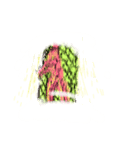 昇龍（個別スタンプ：22）