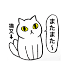 猫たち。ダジャレ。（個別スタンプ：34）