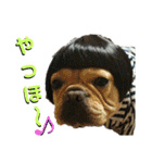 フレブル花子と夢子（個別スタンプ：1）