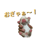 フレブル花子と夢子（個別スタンプ：23）