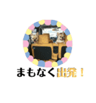 フレブル花子と夢子（個別スタンプ：26）