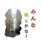 フレブル花子と夢子（個別スタンプ：38）