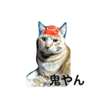 ちゃっと（個別スタンプ：2）