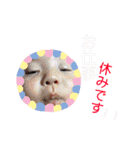 namikun（個別スタンプ：30）