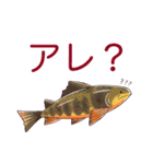 釣りガールとゆかいなお魚たち（個別スタンプ：26）