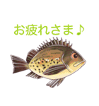 釣りガールとゆかいなお魚たち（個別スタンプ：28）