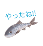 釣りガールとゆかいなお魚たち（個別スタンプ：30）