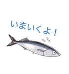 釣りガールとゆかいなお魚たち（個別スタンプ：35）