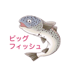 釣りガールとゆかいなお魚たち（個別スタンプ：37）