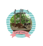 はなまるのん（個別スタンプ：2）