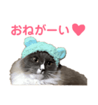 うちのかいちゃん（個別スタンプ：16）