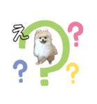 コロン＆おはぎ（個別スタンプ：1）