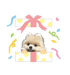 コロン＆おはぎ（個別スタンプ：5）