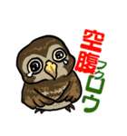 鳥ダジャレ！スタンプ（個別スタンプ：9）