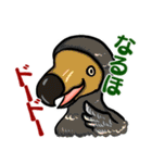 鳥ダジャレ！スタンプ（個別スタンプ：10）